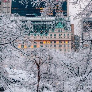 Meet your Posher, Michele